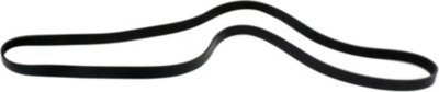 Dayco Drive Belt