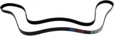 Dayco Drive Belt