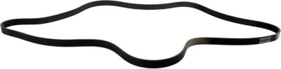 Dayco Drive Belt