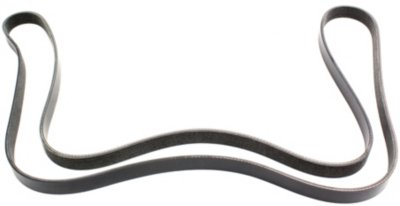 Dayco Drive Belt