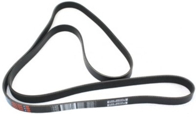 Dayco Drive Belt