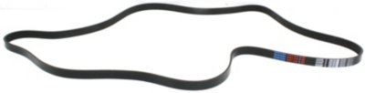 Dayco Drive Belt
