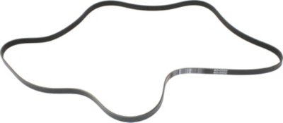 Dayco Drive Belt