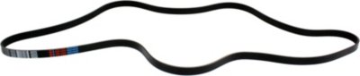 Dayco Drive Belt