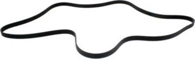 Dayco Drive Belt
