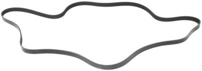 Dayco Drive Belt