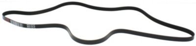 Dayco Drive Belt