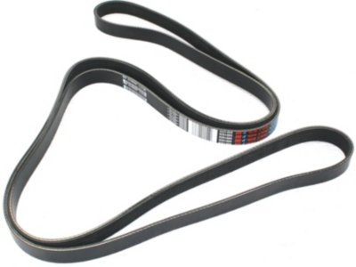 Dayco Drive Belt