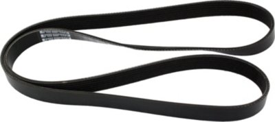 Dayco Drive Belt