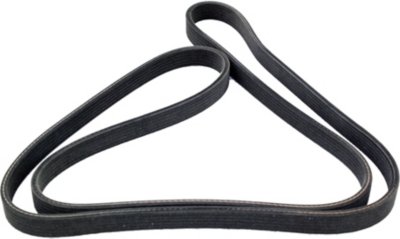 Dayco Drive Belt