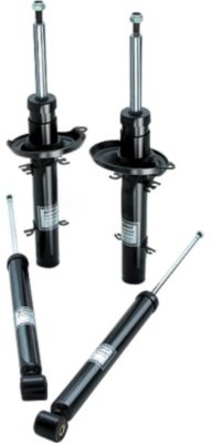 Eibach Shock Absorber and Strut Assembly