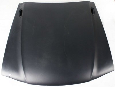 Replacement Hood