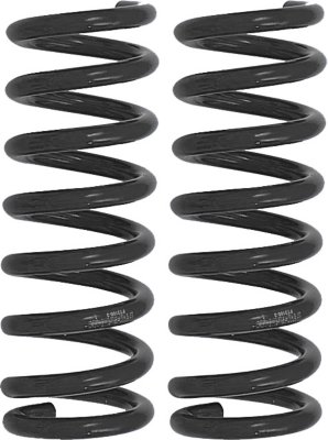 Fabtech Coil Springs