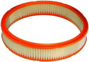 Fram Air Filter