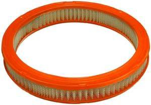Fram Air Filter