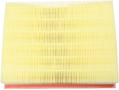Fram Air Filter
