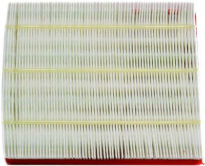 Fram Air Filter