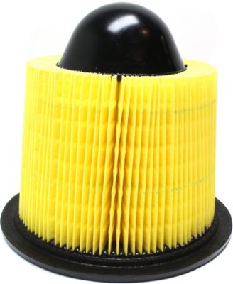 Fram Air Filter