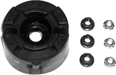 Gabriel Shock and Strut Mount