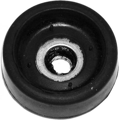 Gabriel Shock and Strut Mount