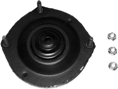 Gabriel Shock and Strut Mount