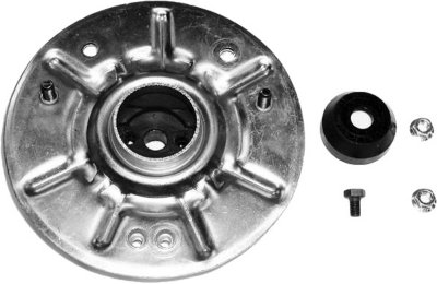 Gabriel Shock and Strut Mount