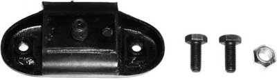 Gabriel Shock and Strut Mount