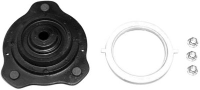 Gabriel Shock and Strut Mount