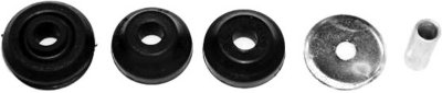Gabriel Shock and Strut Mount
