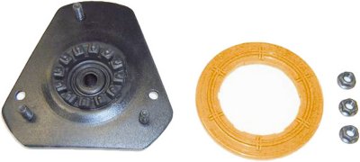 Gabriel Shock and Strut Mount