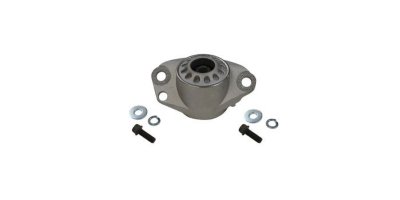 Gabriel Shock and Strut Mount