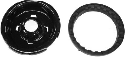 Gabriel Shock and Strut Mount