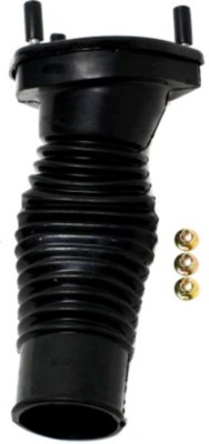 Gabriel Shock and Strut Mount
