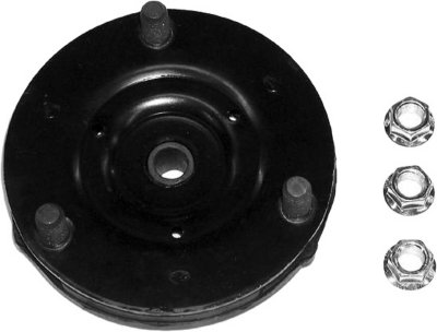 Gabriel Shock and Strut Mount