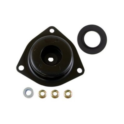 Gabriel Shock and Strut Mount