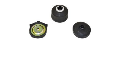 Gabriel Shock and Strut Mount
