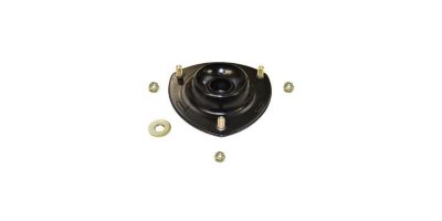 Gabriel Shock and Strut Mount