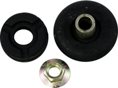 Gabriel Shock and Strut Mount