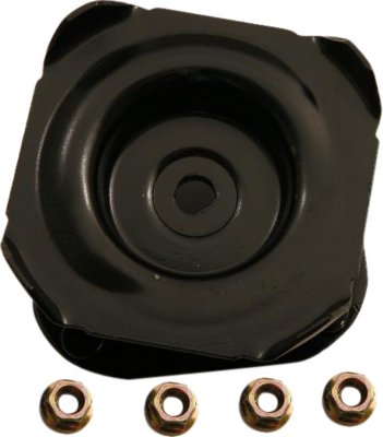 Gabriel Shock and Strut Mount
