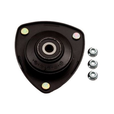 Gabriel Shock and Strut Mount