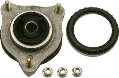 Gabriel Shock and Strut Mount