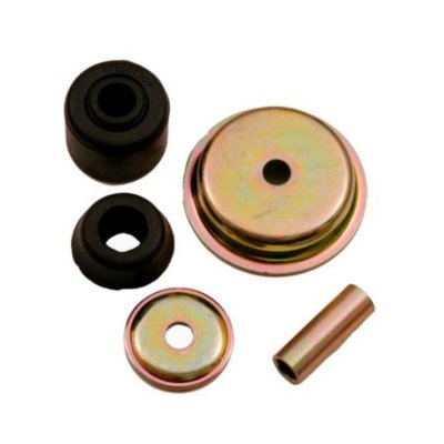 Gabriel Shock and Strut Mount