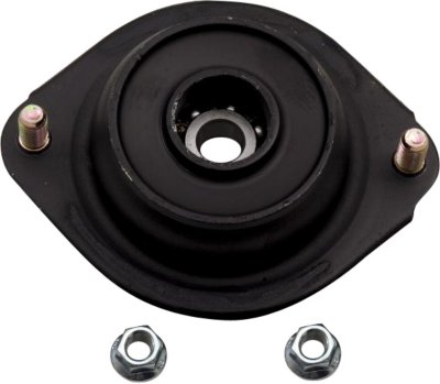 Gabriel Shock and Strut Mount