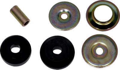 Gabriel Shock and Strut Mount