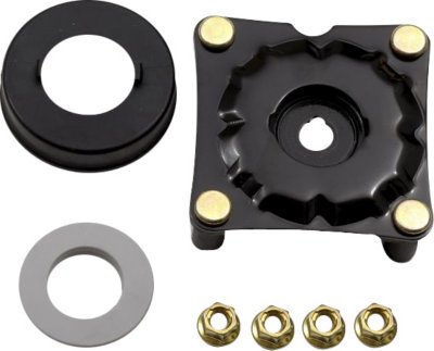 Gabriel Shock and Strut Mount
