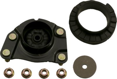 Gabriel Shock and Strut Mount