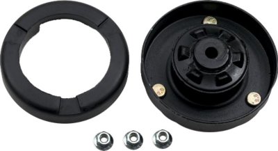 Gabriel Shock and Strut Mount