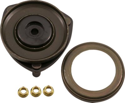 Gabriel Shock and Strut Mount