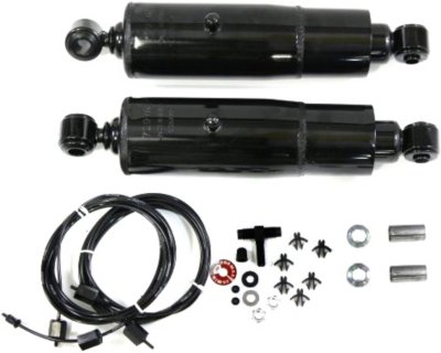 Gabriel Shock Absorber and Strut Assembly