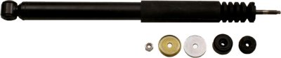 Gabriel Shock Absorber and Strut Assembly